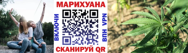 Шишки марихуана план Ужур